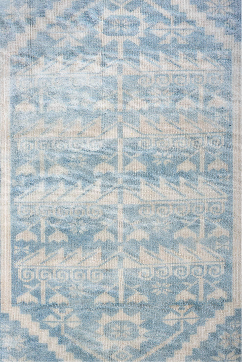 Antique Anatol Area Rug (3' x 6')